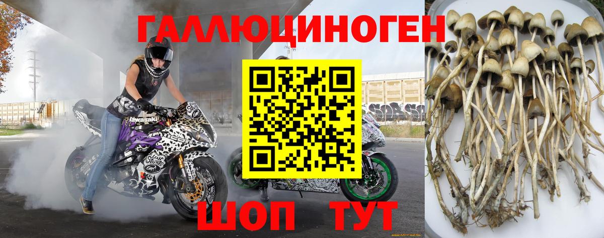 Псилоцибиновые грибы ЛСД Алатырь
